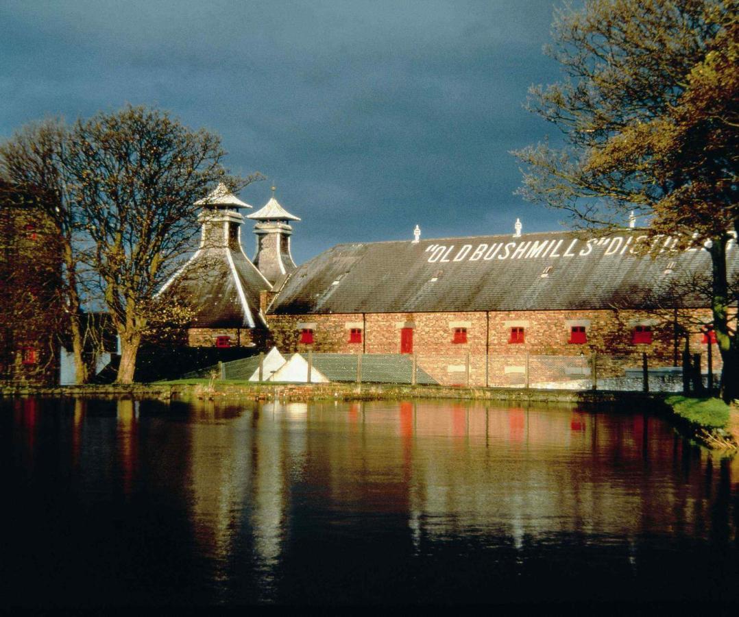Braeside B&B Bushmills Esterno foto