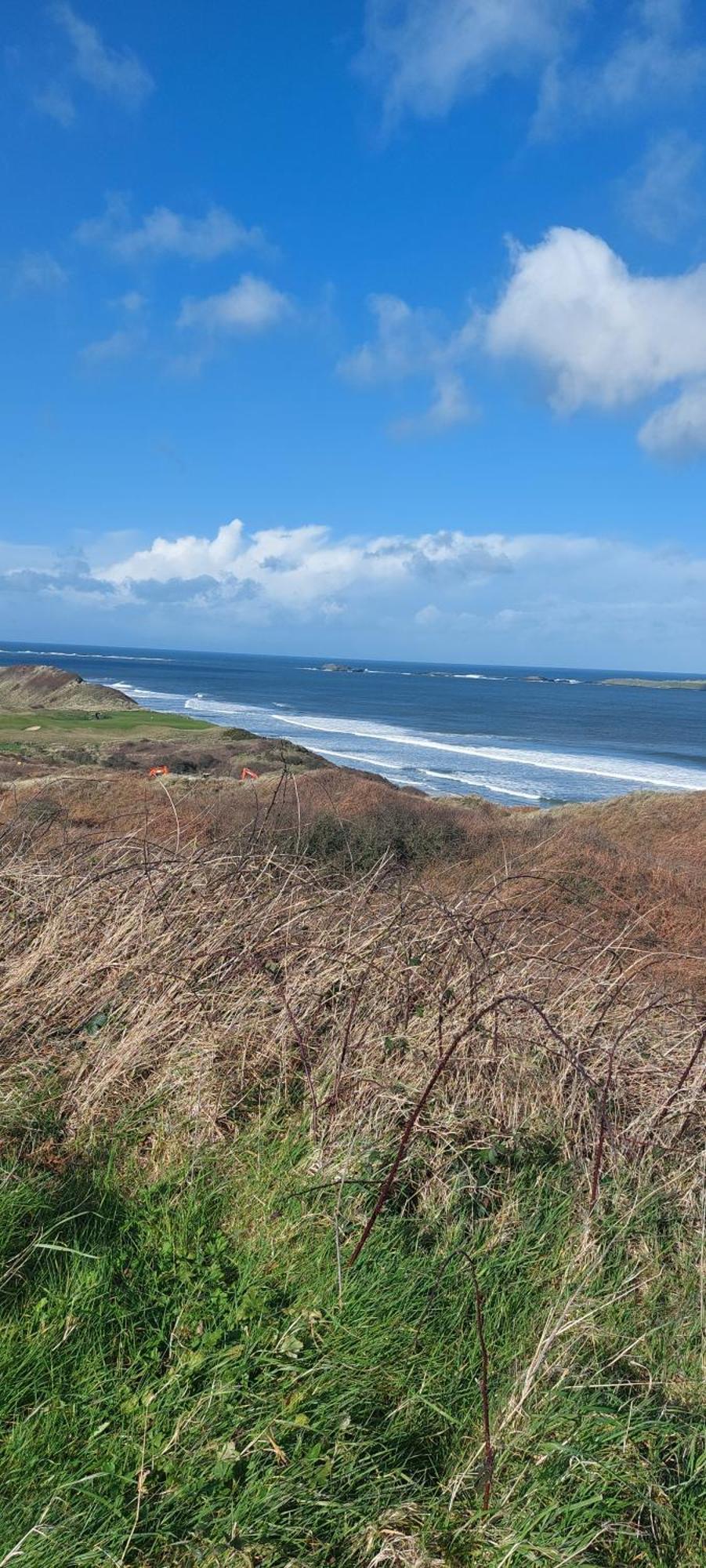 Braeside B&B Bushmills Esterno foto